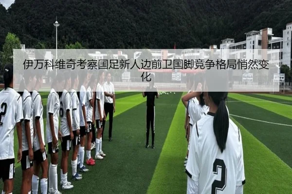 伊万科维奇考察国足新人边前卫国脚竞争格局悄然变化